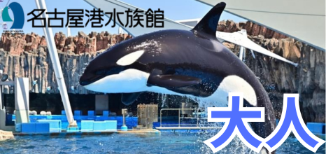 名古屋港水族館 大人
