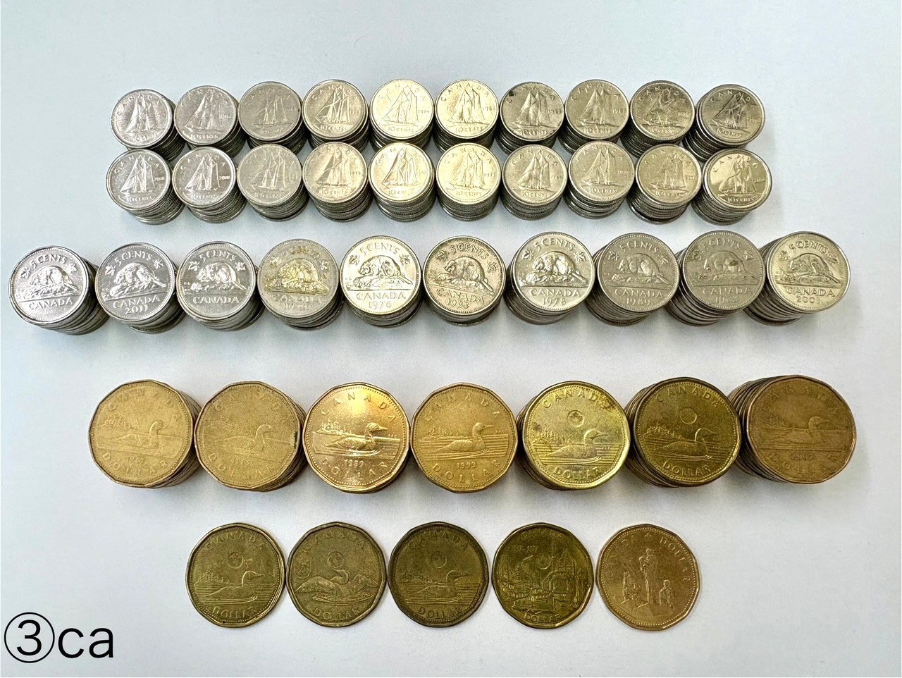 カナダドル硬貨/100ドル分